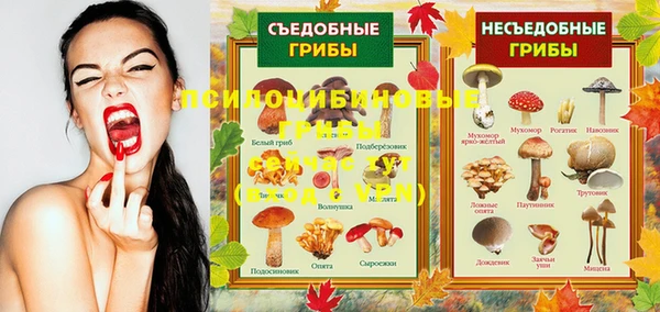 таблы Аркадак
